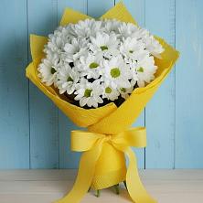 Букет цветов из:  Хризантемы в Миатли