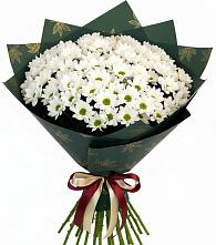 Букет цветов из:  Хризантемы в Миатли