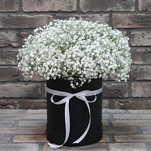 Цветочная композиция из Гипсофила в шляпной коробке в Миатли