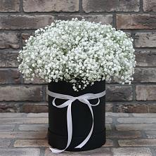 Цветочная композиция из Гипсофила в шляпной коробке в Миатли