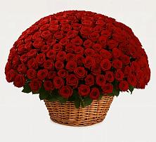 Премиум букет из: Розы #REPLACE_PRED# Миатли