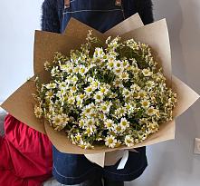 Букет цветов из:  Ромашки #REPLACE_PRED# Миатли