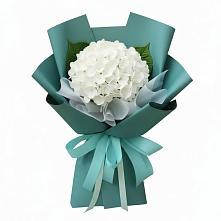 Букет цветов из:  Гортензия в Миатли